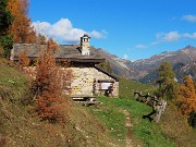 35 Splendenti larici in veste autunnale alla Baitelli (1748 m)